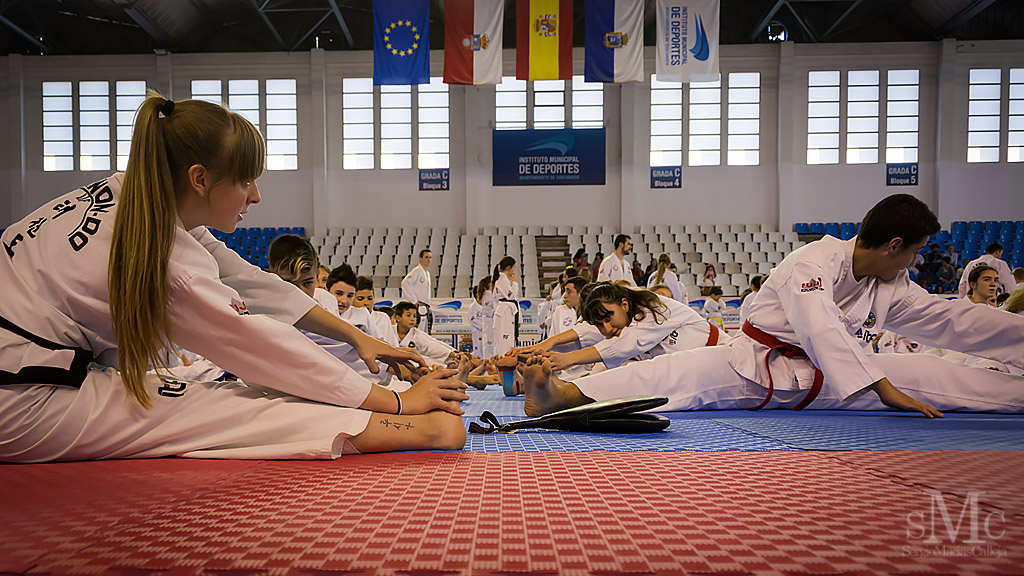 DIA DEL TAEKWONDO ABRIL 2017_3709.JPG